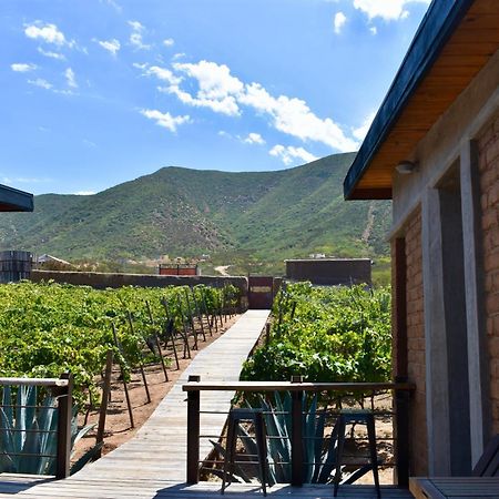 Uvauva Eco-Retreat Valle de Guadalupe Exterior foto