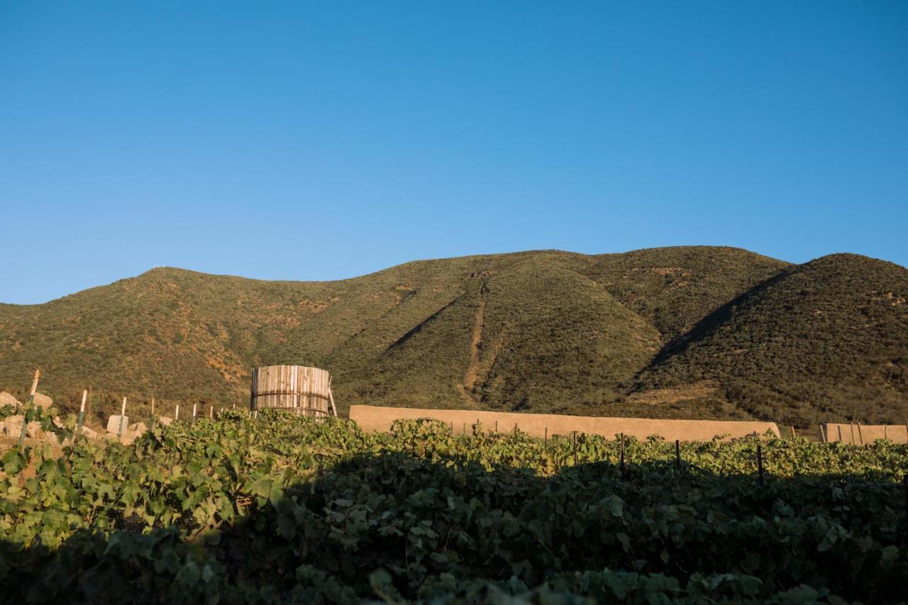 Uvauva Eco-Retreat Valle de Guadalupe Exterior foto