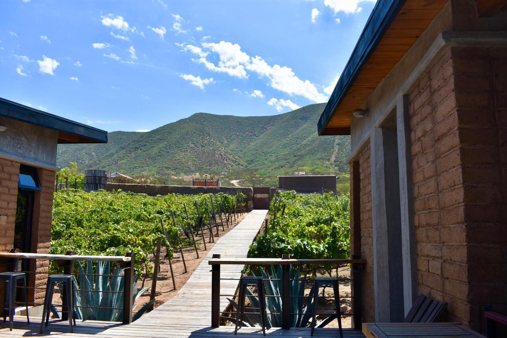Uvauva Eco-Retreat Valle de Guadalupe Exterior foto