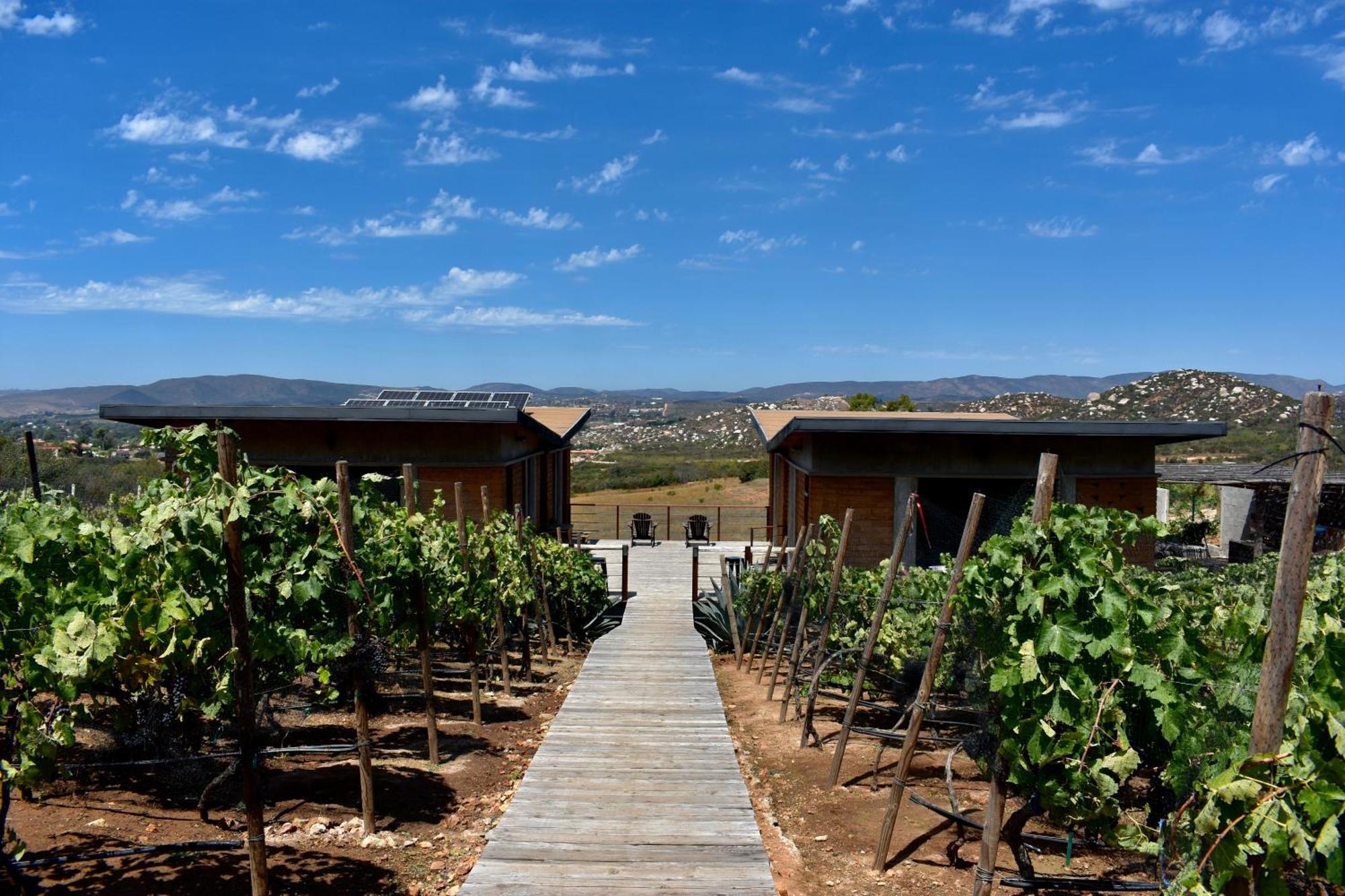 Uvauva Eco-Retreat Valle de Guadalupe Exterior foto
